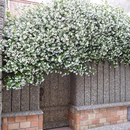 Chambres D'Hotes La Rose Des Vents Ginestas Luaran gambar