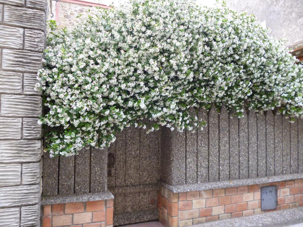 Chambres D'Hotes La Rose Des Vents Ginestas Luaran gambar